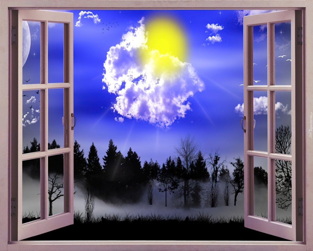 Окно рисунок