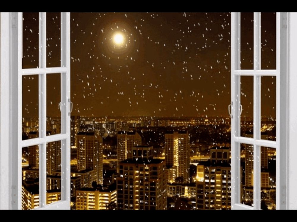 Город в окне