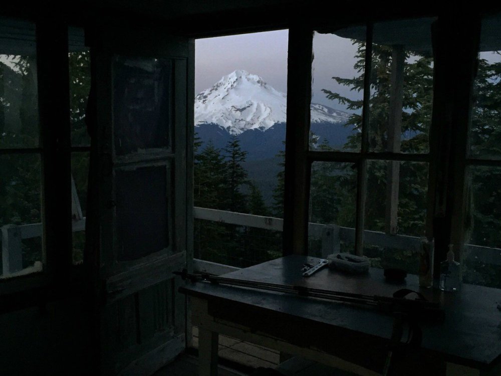 Вид из окна на лес