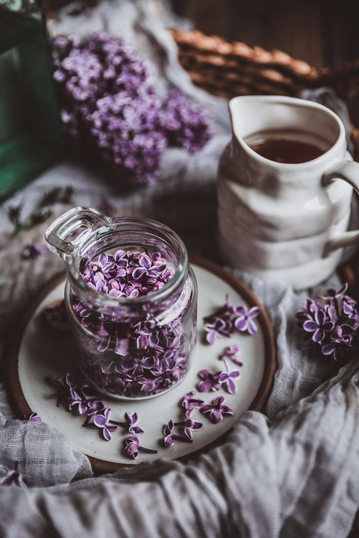 Лаванда на бежевом фоне