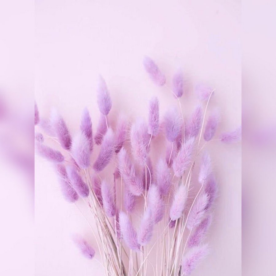 Прованские цветы