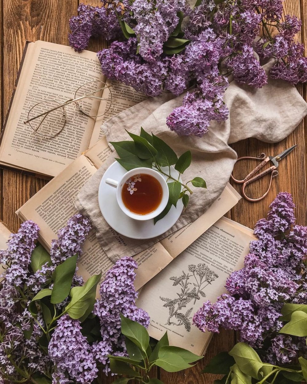 Утро в сиреневых тонах