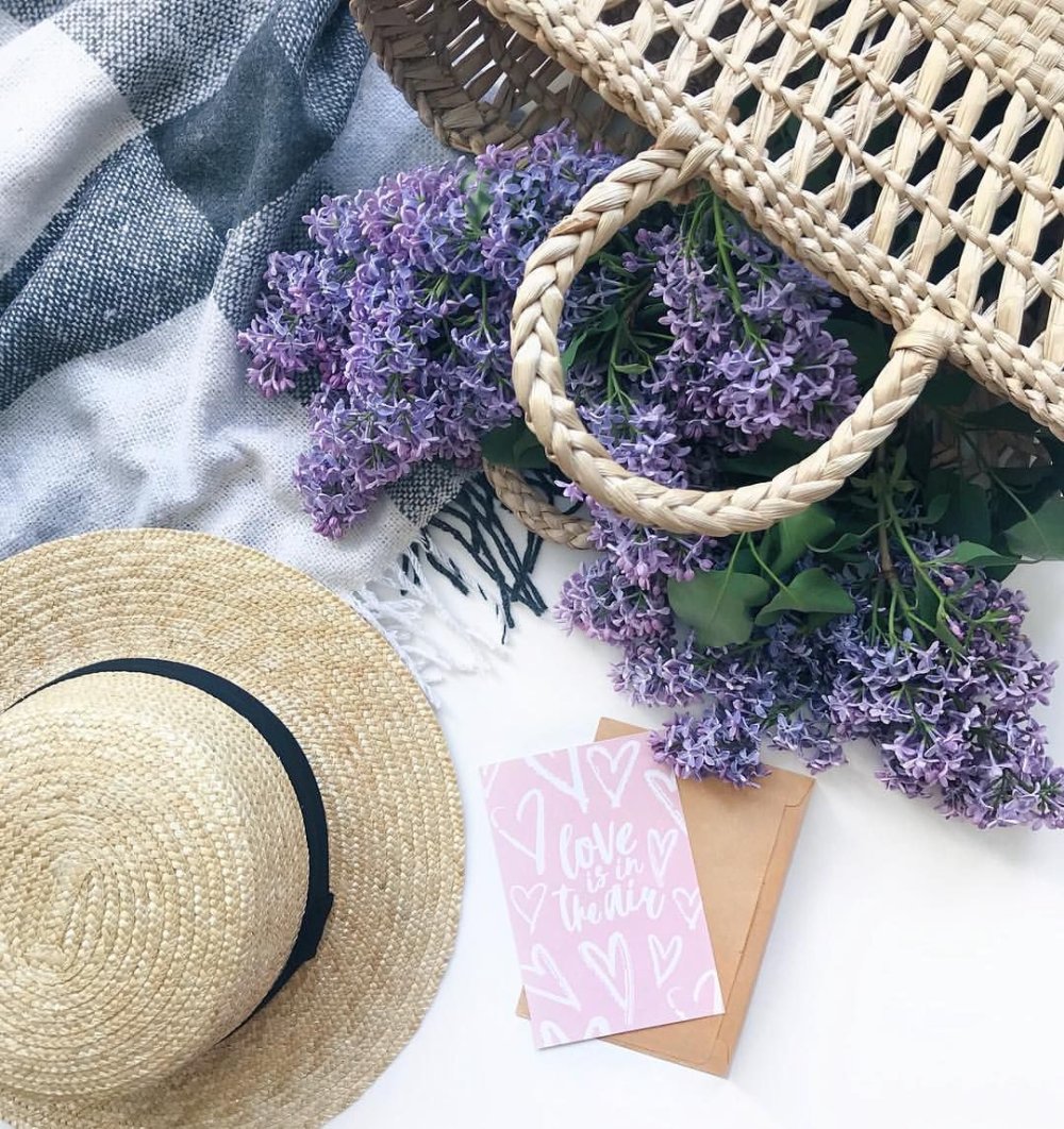 Лавандовый Прованс