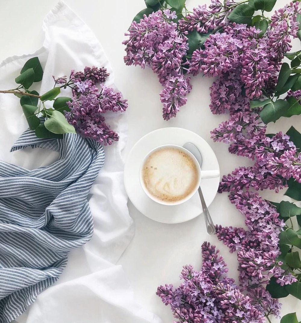 Завтрак кофе круассан сирень