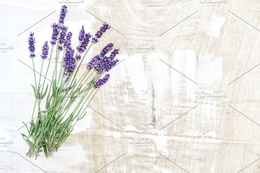 Лаванда Фреш Фловерс