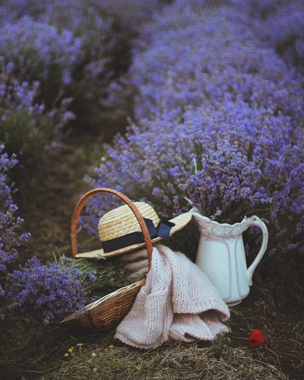 Утро кофе сирень