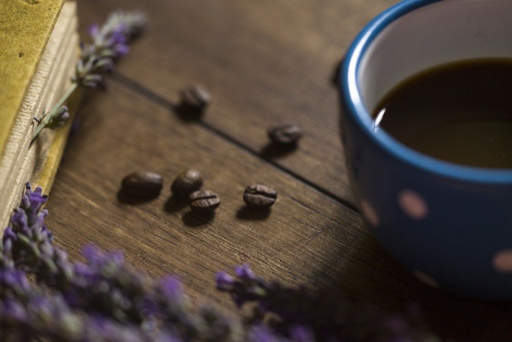 Завтрак с лавандой