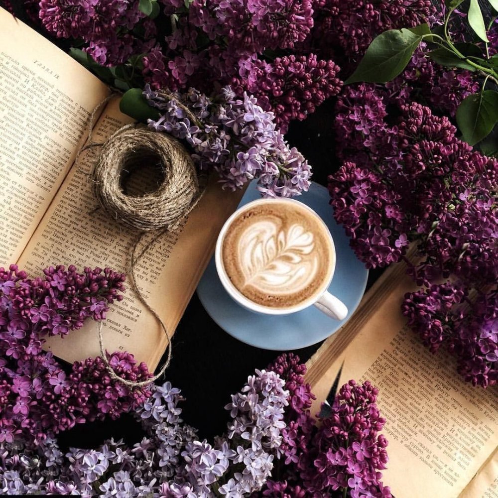 Лаванда стильные цветы