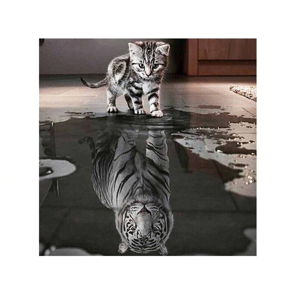 Котенок в отражении Лев