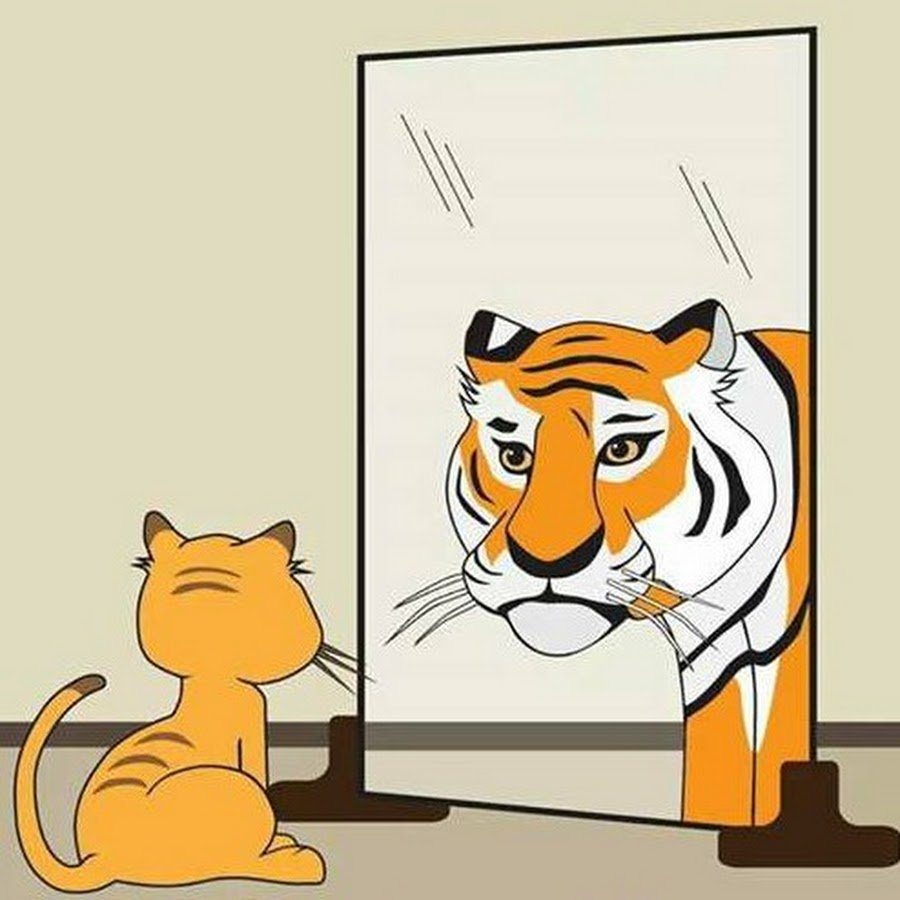 Кот в отражении тигр