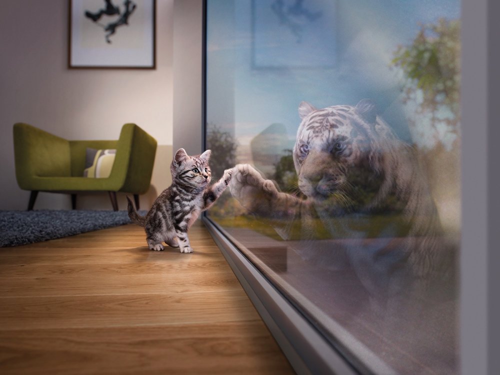 Котенок в отражении тигр