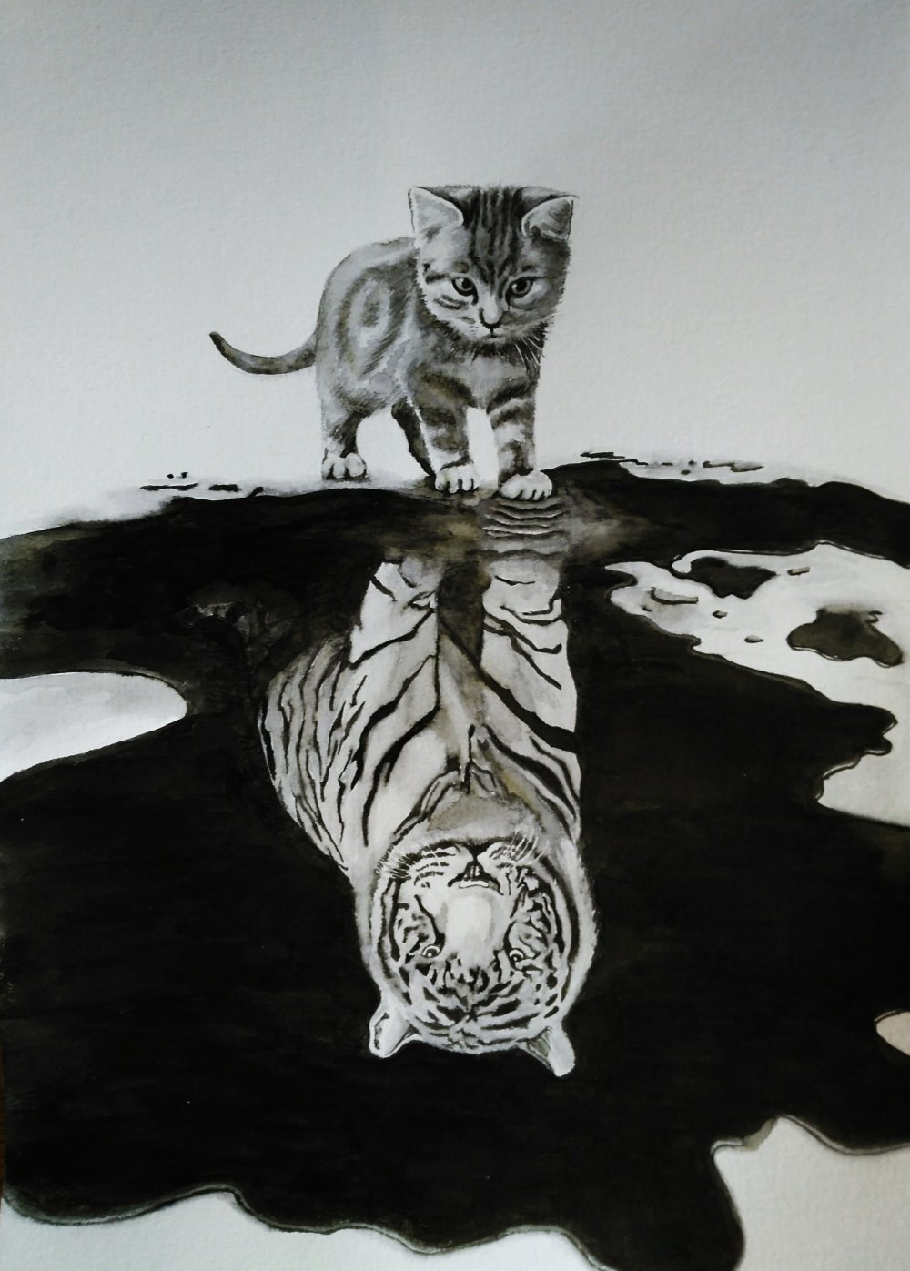 Котенок и котенок в отражении