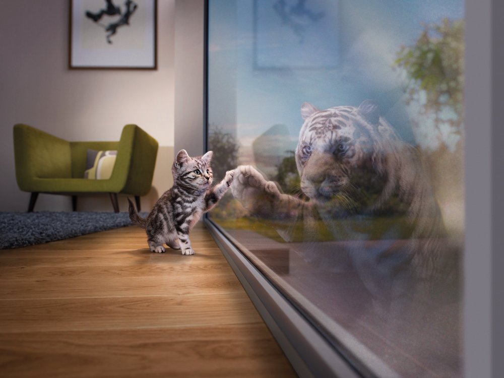 Котенок в отражении тигр