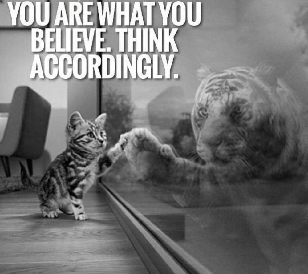 Рисунки тигров