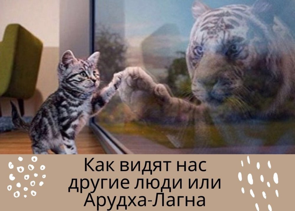 Котенок в отражении тигр