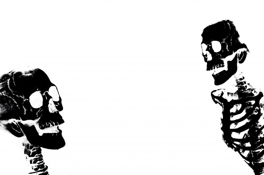 Чб скелет для обложки