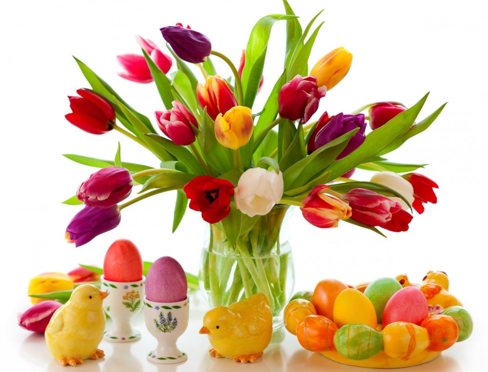 Тюльпаны разноцветные