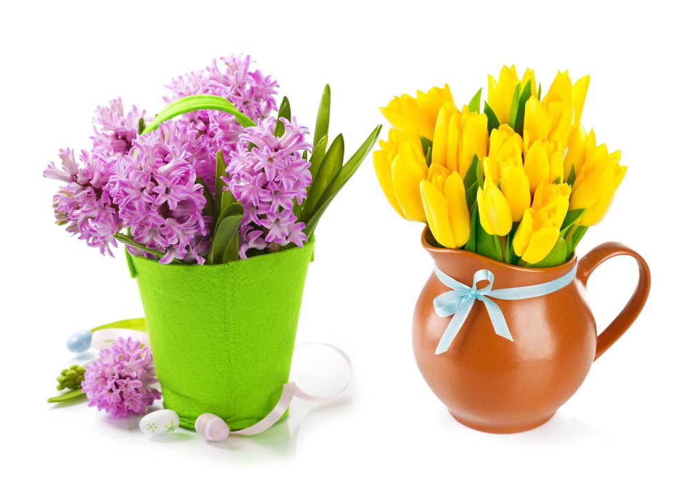 Тюльпаны цветы букет и гиацинт