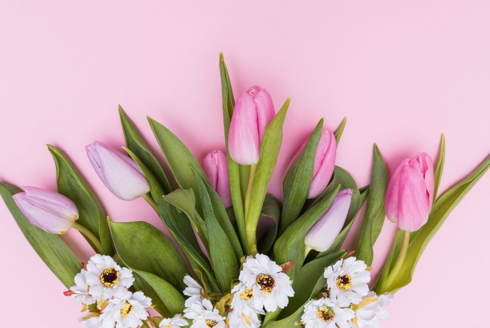 Мимоза и нарциссы