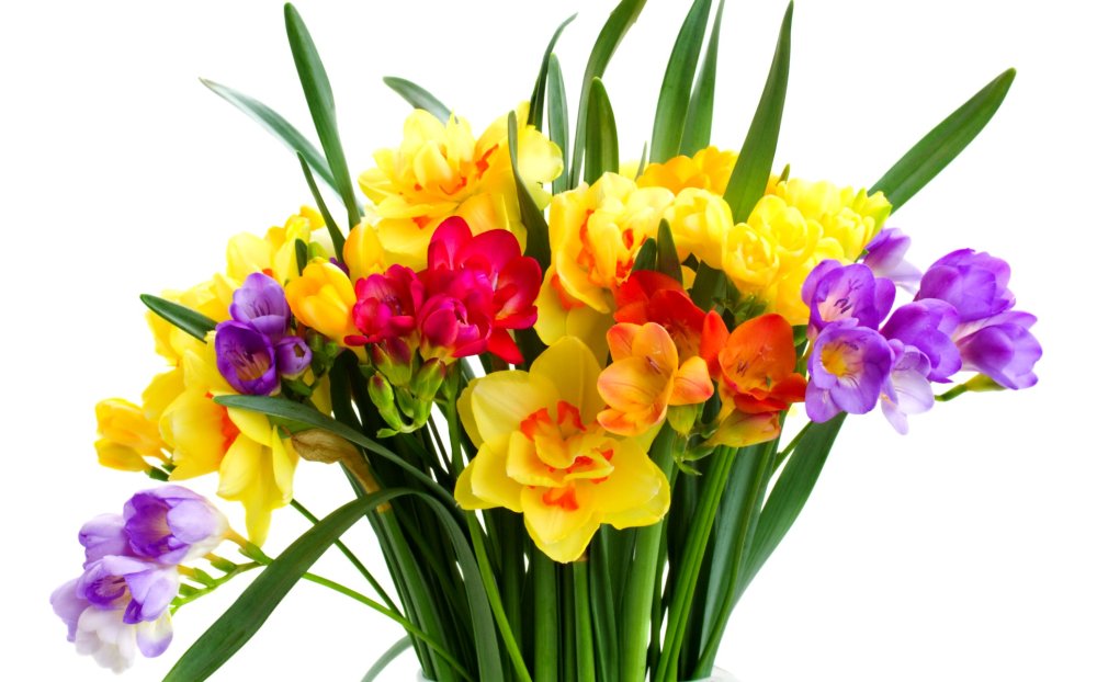 Желтые цветы букет нарциссов