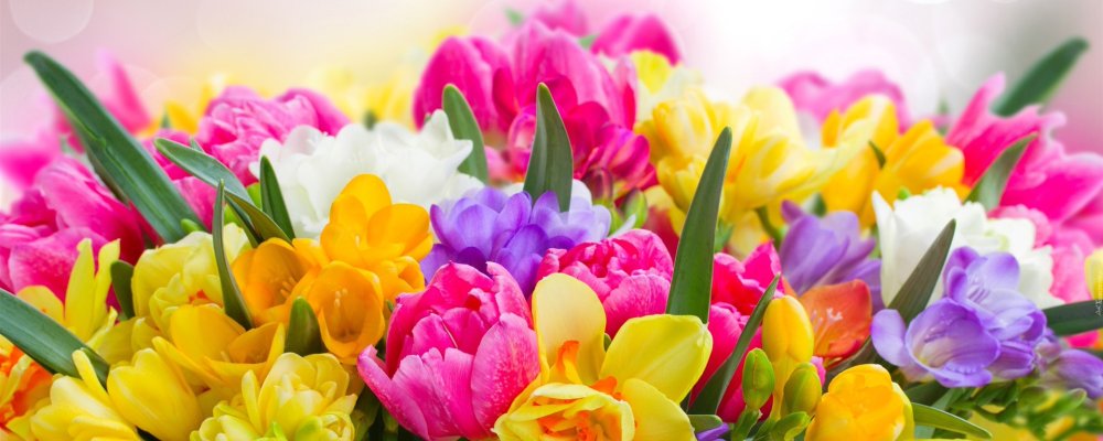 Весенние цветы на столе