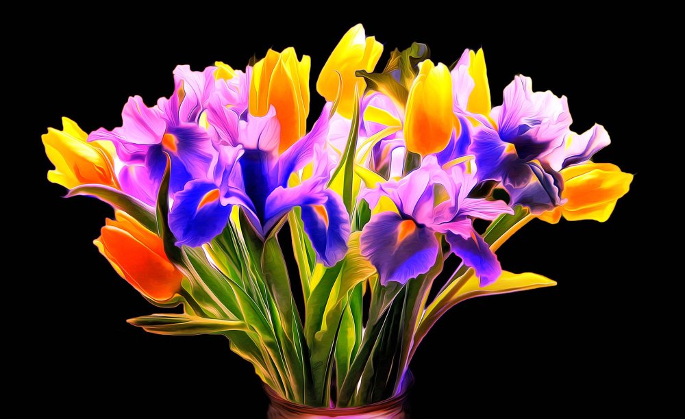 Ирисы на темном фоне