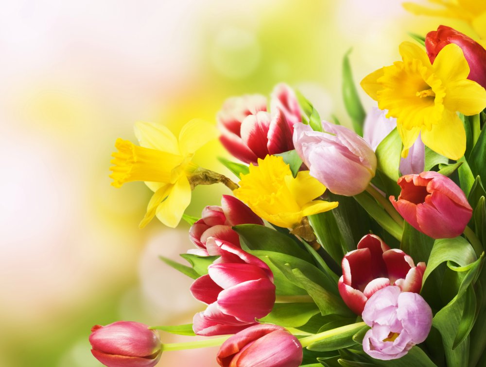 Яркий весенний букет
