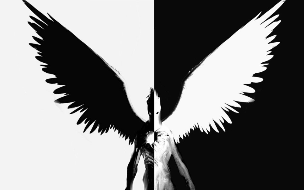 Ангел с черным и белым крылом