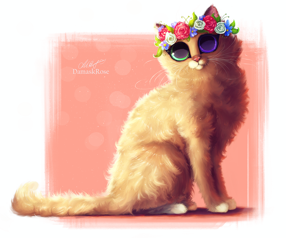 Мультяшный кот