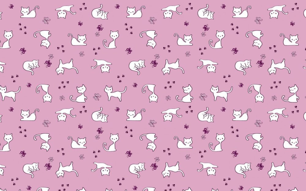 Котик на розовом фоне