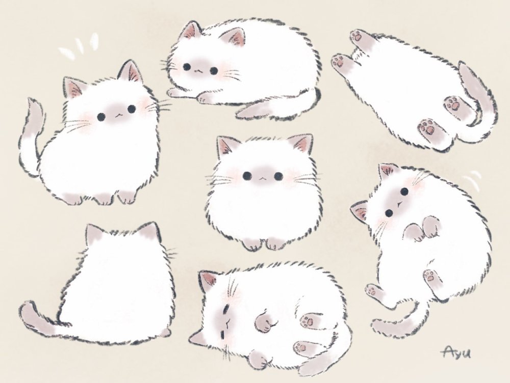 Милые котики рисунки