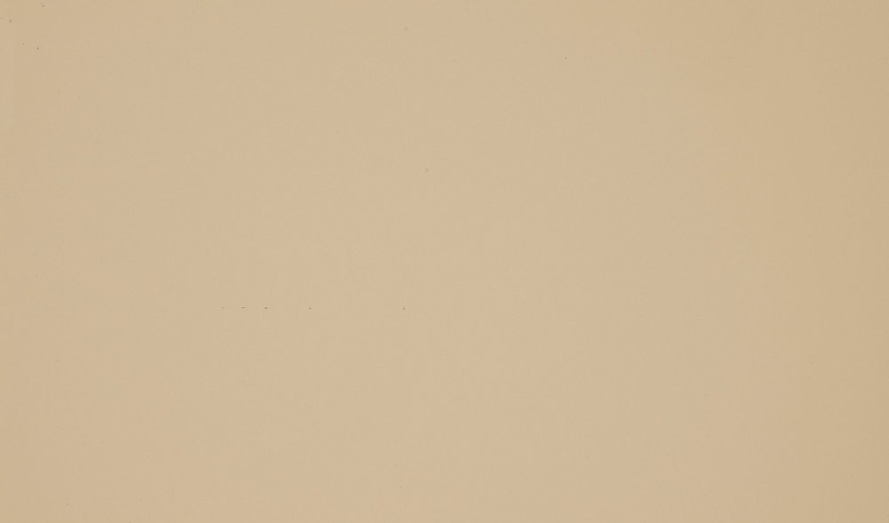 Капучино глянец DM 501-6t