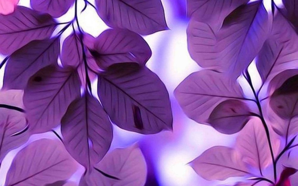 Клавиатура Эстетика