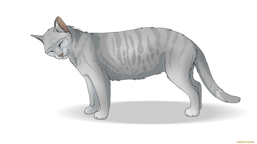 Белый котенок с желтыми глазами