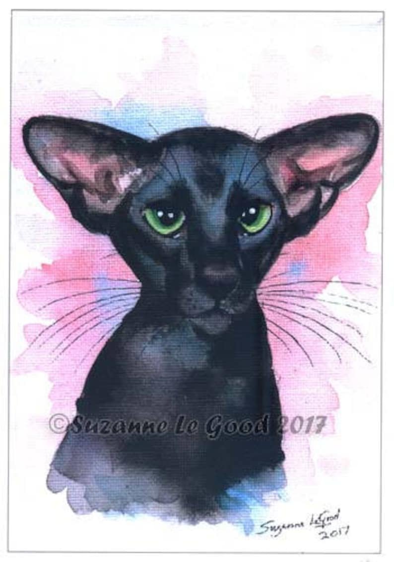 Алмазная мозаика Ориентальная кошка