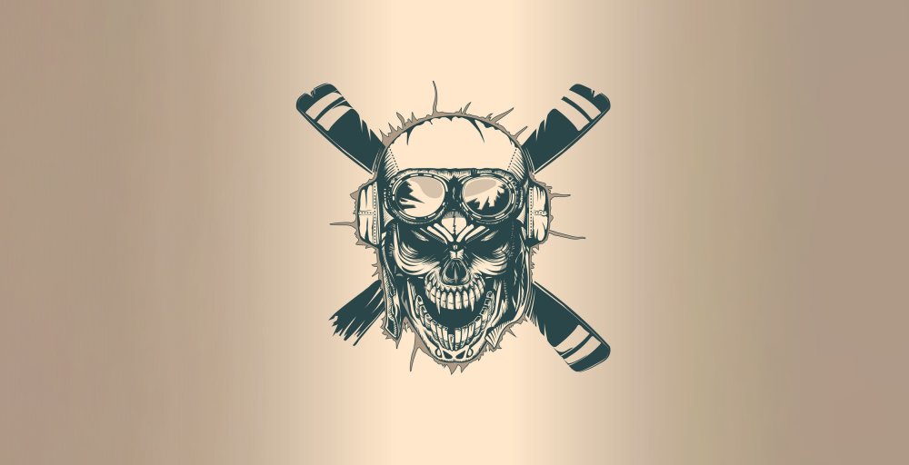 Пилот череп арт