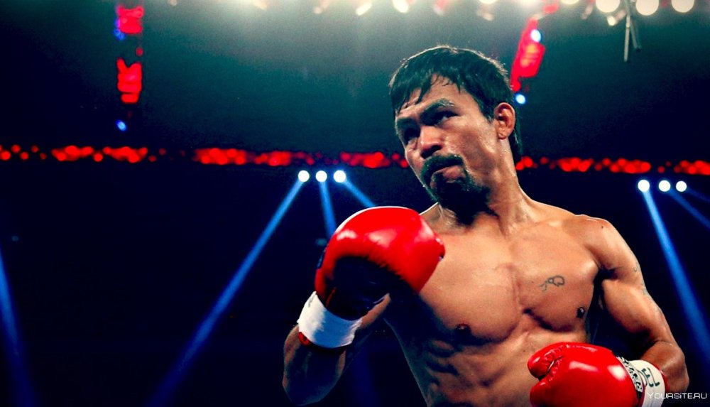 Самый дорогой бой в истории бокса