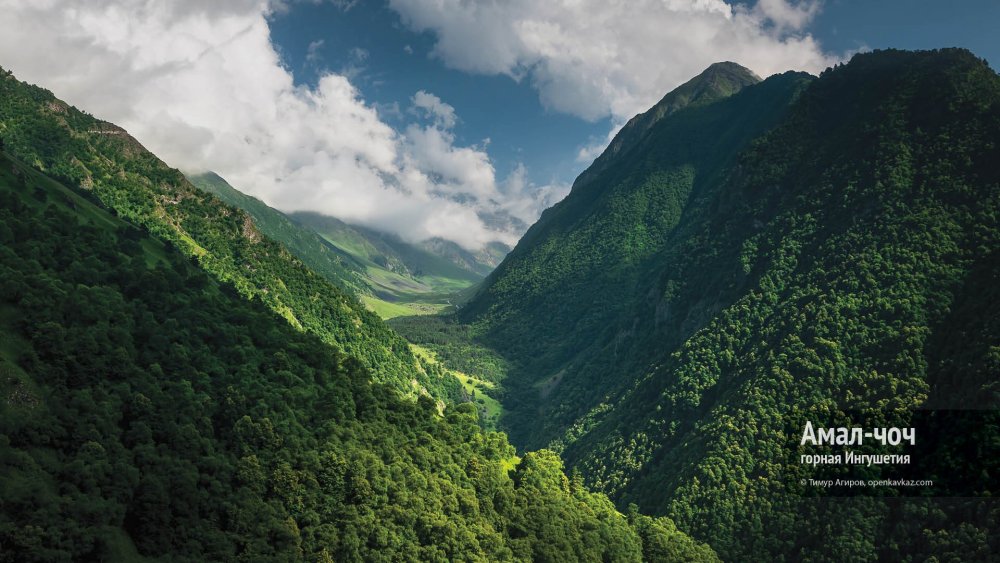 Флаг Ингушетии