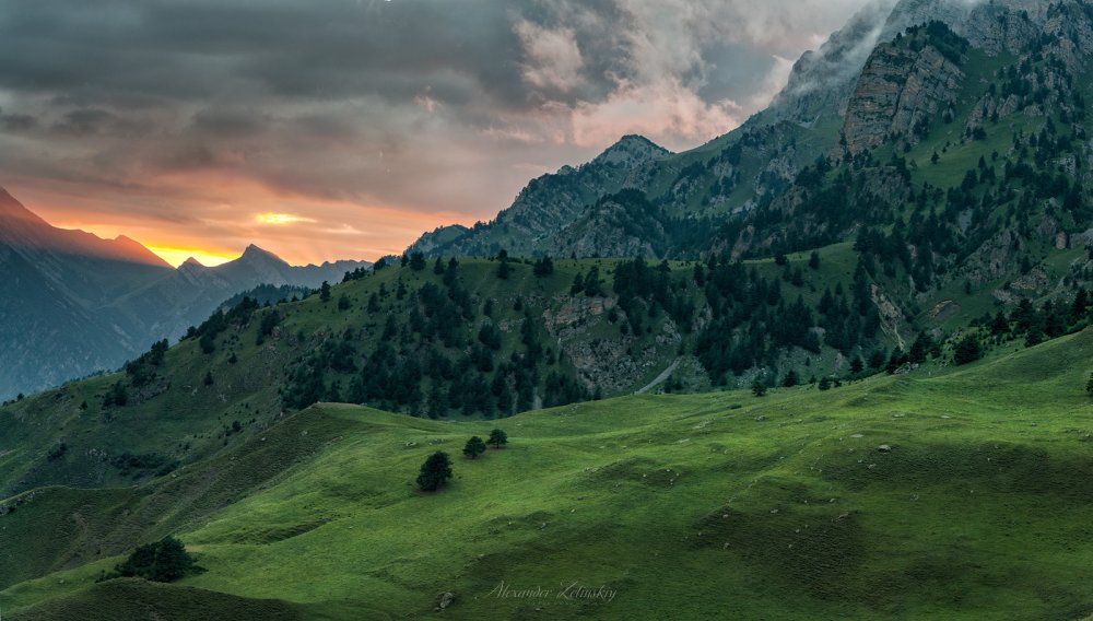 Шанхоев Ибрагим