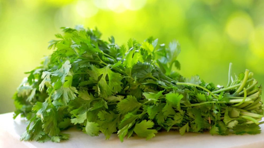 Три петрушки