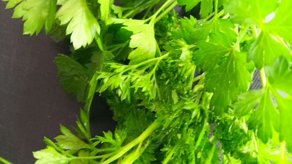 Петрушка Ворожея