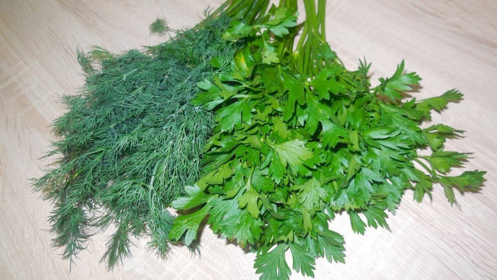 Greenery зелень укроп