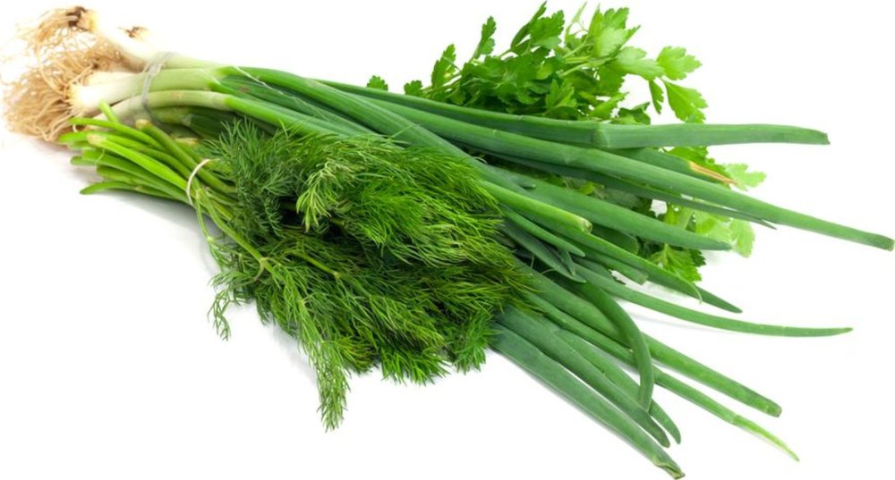 Укроп на белом фоне