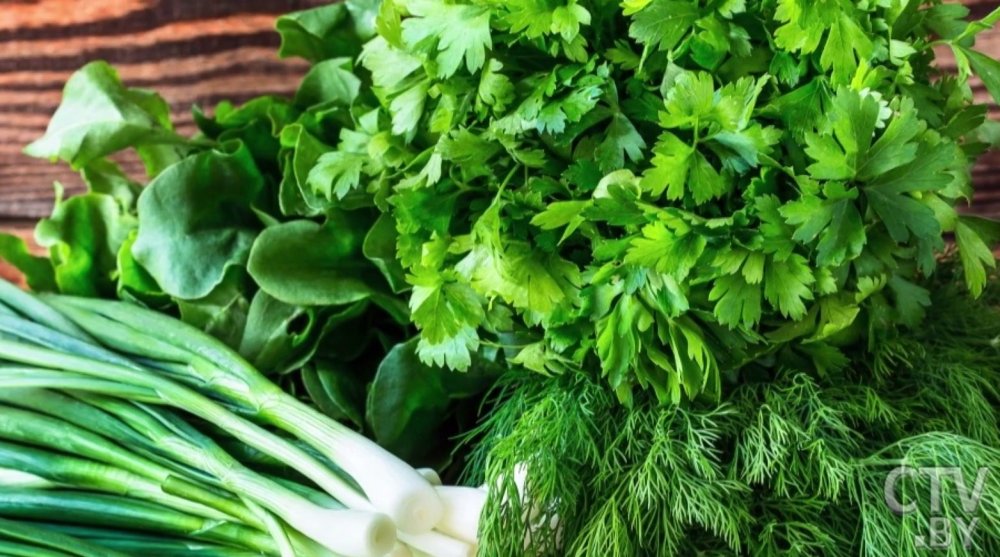 Петрушка Дейли