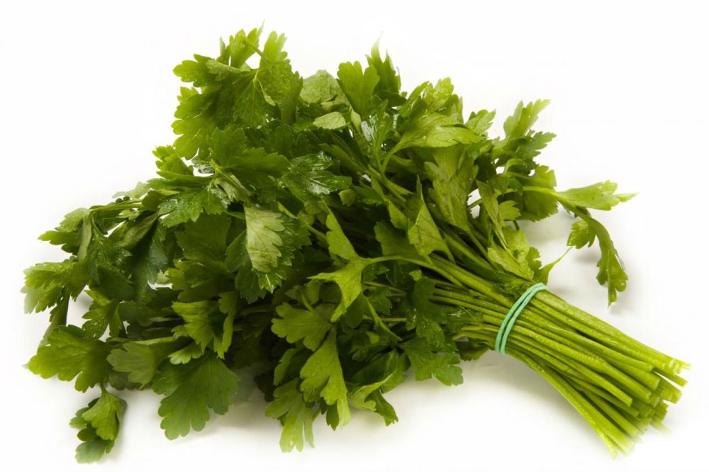 Зелень на белом фоне