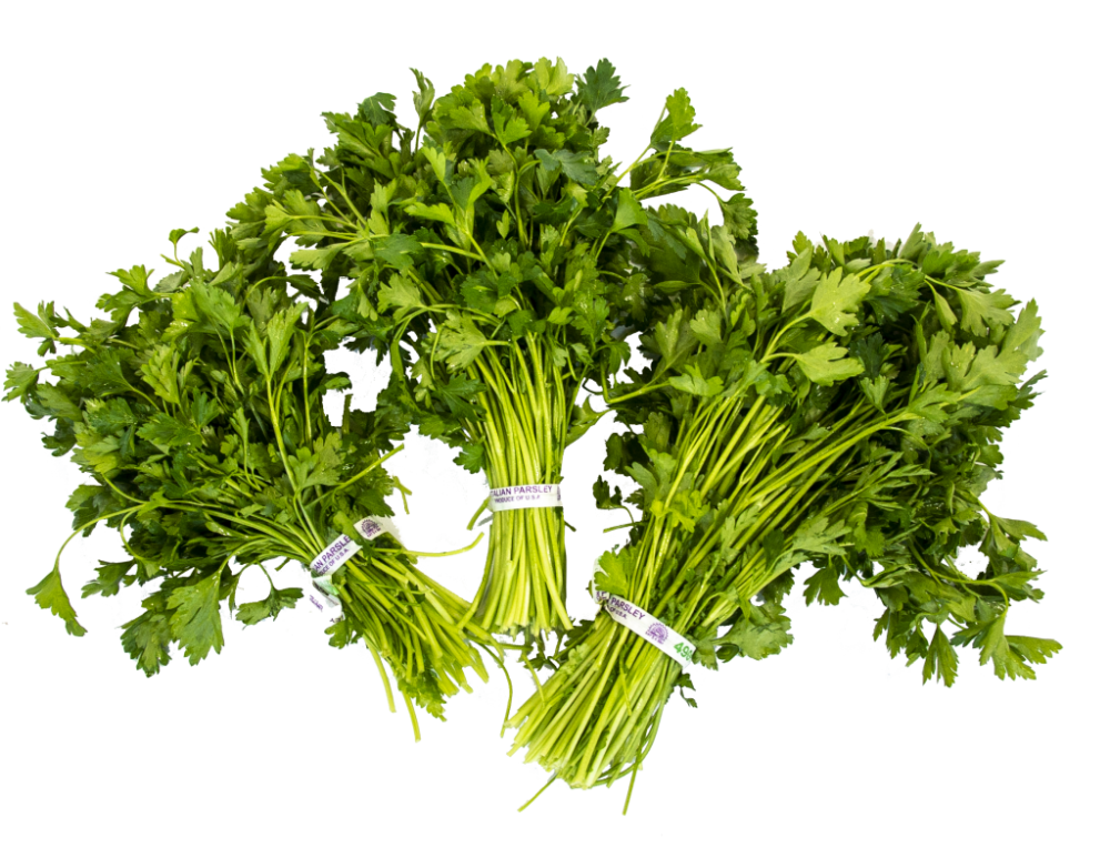 Фотография петрушки на белом фоне