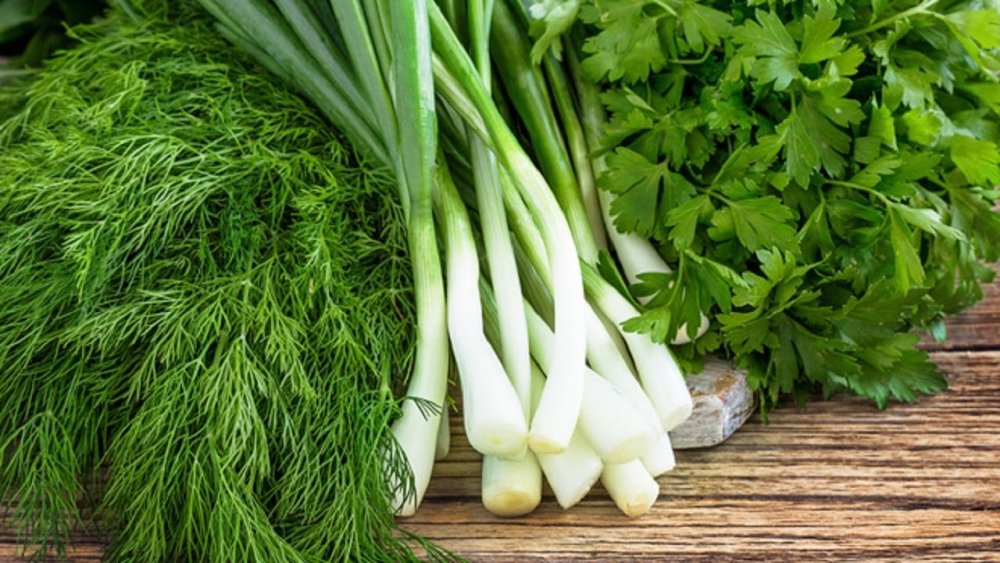 Зеленый лук укроп петрушка кинза