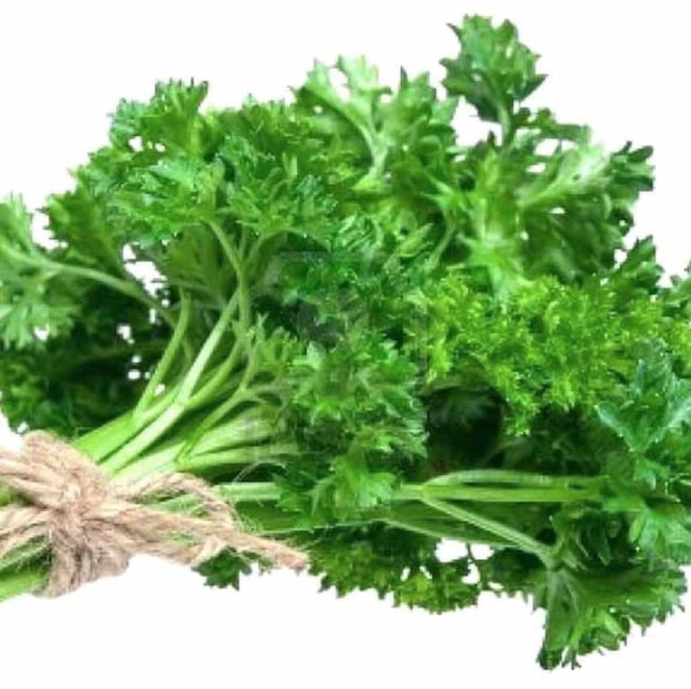 Пучок зелени на белом фоне