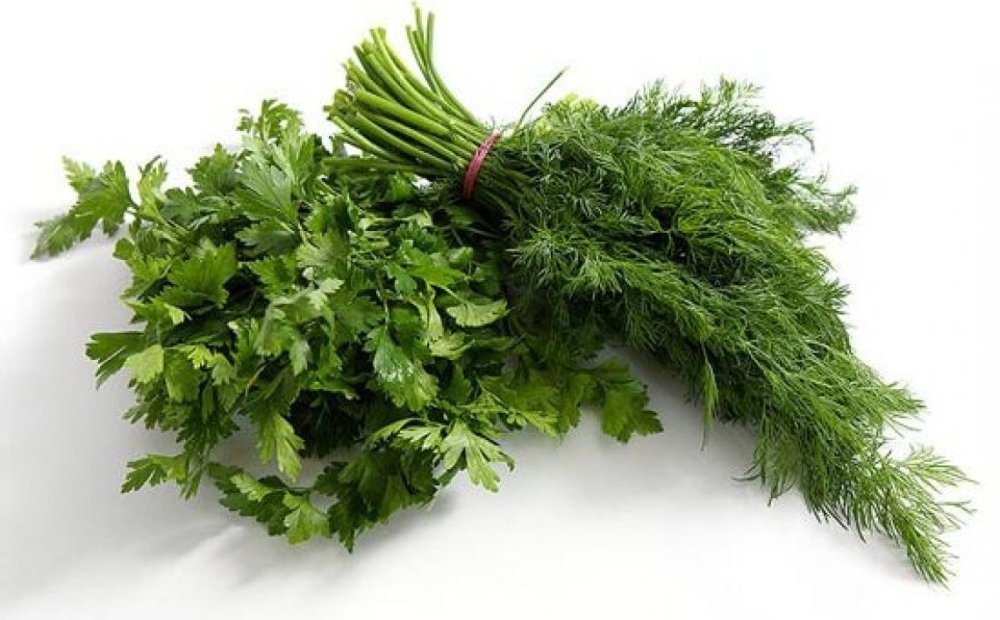 Зелень на белом фоне