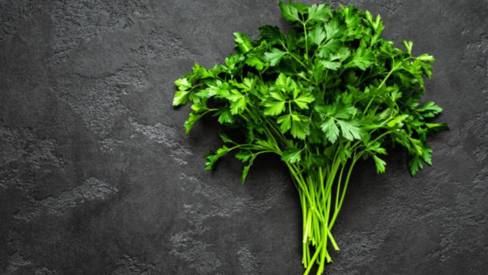 Овощи зелень петрушка лук укроп